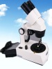 10-30X or 20-40X LED 56mm magnification Gemology Microscope