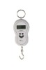 10-40kg Electronic Hanging price scale