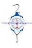 100% gruranteed 100kg hanging scale