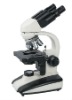 1000X Binocular Biological Microscope For Educational Use