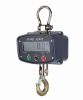 100kg hanging scale
