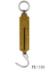 100kg hanging scale