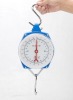 100kg hanging scales