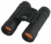 10X25 DCF binoculars
