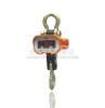 10t LED Crane Scale