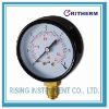 (1100) Dry standard pressure gauge