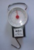 11kg fishing scale