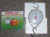 200kg hanging scale