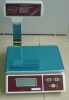 2011 New weighing scales with pole