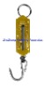 25/50/100kg/150kg Spring hanging scale