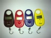 25 kg four color fashion mini portable electronic scales