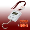 25KG mini hand scale with stainless hook and strip