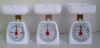 2kg white household scale