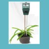 3 in 1 soil moisture PH light meter plant hydroponic