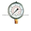 304 Stainless Steel Pressure Gauge