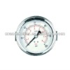 304 Stainless Steel Pressure Gauge