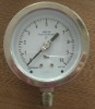 304 Stainless Steel Pressure Gauge