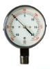 316L SS chamber with PTFE protected steel diaphragm Diaphragm pressure gauge