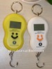 40kg digital hanging scale