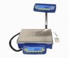 50Kg Industrial Scales (0.5g)/Electronic Scales with Pan:257*327mm