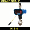 5t LED crane scale