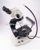 6.5-45X (90X) continuous zoom Gem Microscope