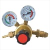 818 Type Gas Regulator