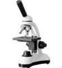 A11.0215 Biological Microscope