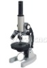 A11.1308 Biological Microscope