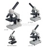 A11.1311 Biological Microscope