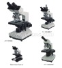 A11.1316 Biological Microscope
