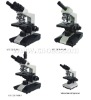 A11.1317 Biological Microscope