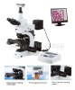A13.1010 Motorized Auto-Focus Metallurgical Microscope