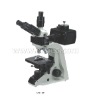 A16.1301 Fluorescence Microscope