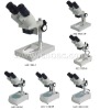 A22.1303 Stereo Microscope