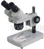 A22.1306 Stereo Microscope