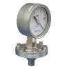 Absolute Pressure Gauge