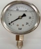 All Stainless Steel Gauge
