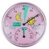 Analog Thermometer