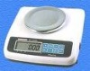 Analytical Balance Monopan (2009)