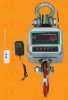 Auto shut function crane scale with remote control