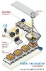 Automatic Weighing & Filling Packing Machine