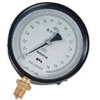 BF(YPE)Stainless steel gauge with diaphragm