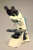 BINOCULAR RESEARCH MICROSCOPE FOR PATHOLOGY