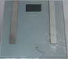 BS200-Fat Scale--mini digital weight scale