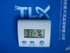 Beautiful gift thermometer hygrometer