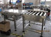 Big Bag Packing Check Weigher WS-500(50g-40kg)