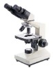 Binocular Head Microscope