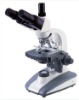 Binocular Head Microscope