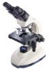 Binocular Head Microscope
